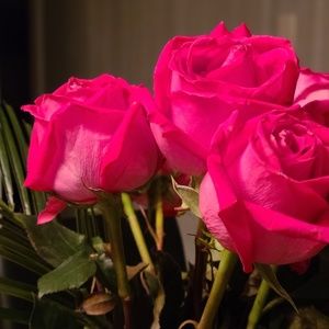 Meet your Posher, Emilie